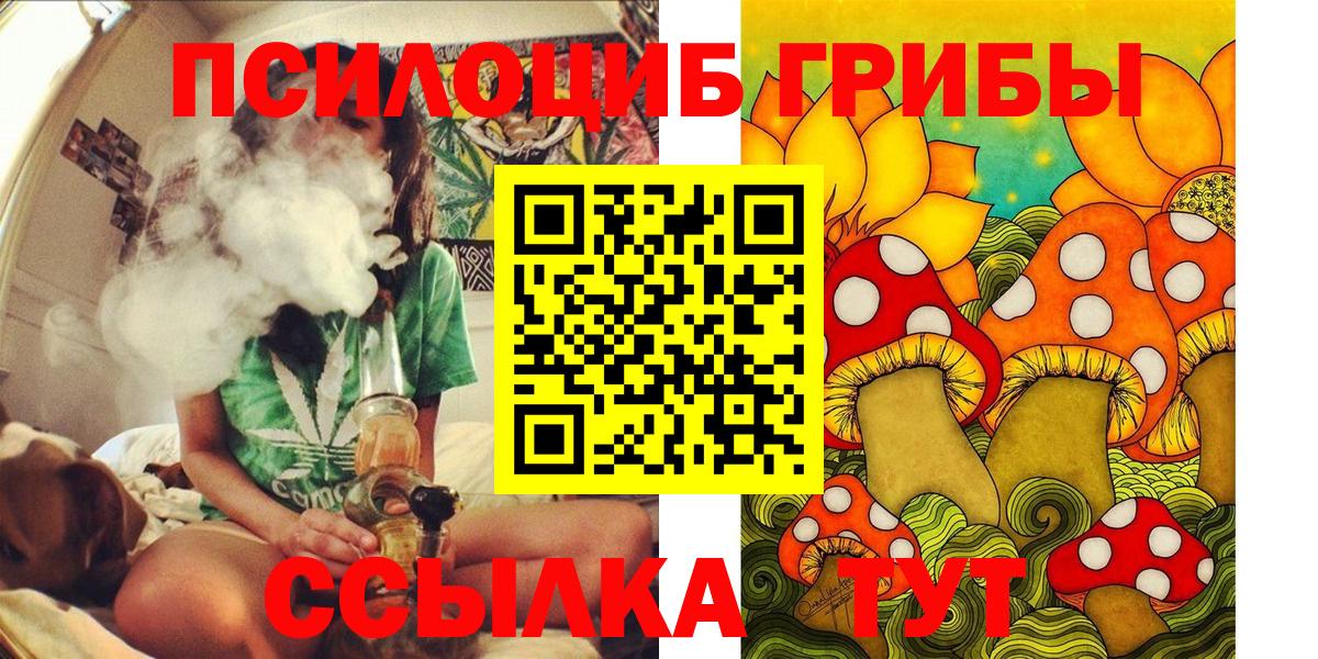 Псилоцибиновые грибы Cubensis Рассказово